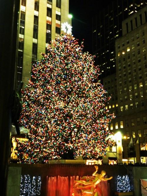 Christmas vacation Day 2 243