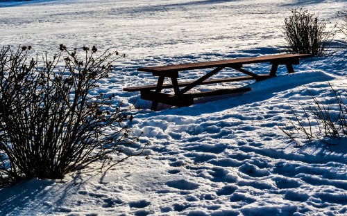 Portland Maine-0032-1