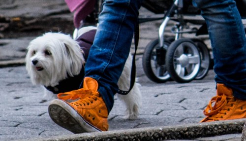 NYC college visit-0065-1