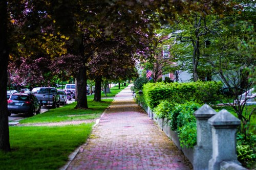 Moriah's Party-0001-1-2