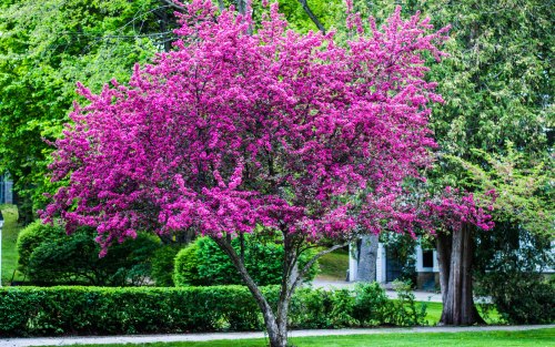 Moriah's Party-0004-1