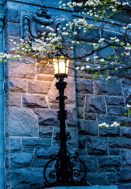 Moriah's Party-0034-1