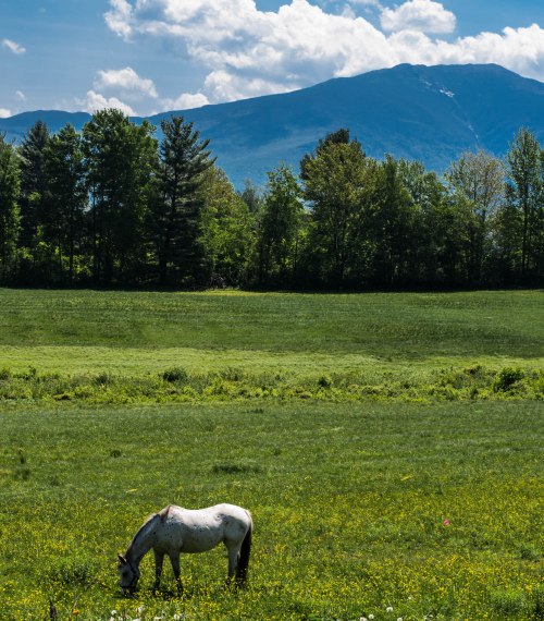 Thornton-Franconia-0033-1