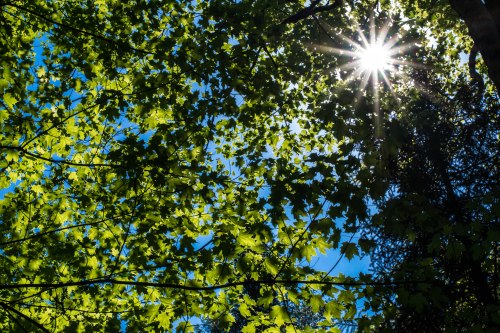 Thornton-Franconia-0091-1