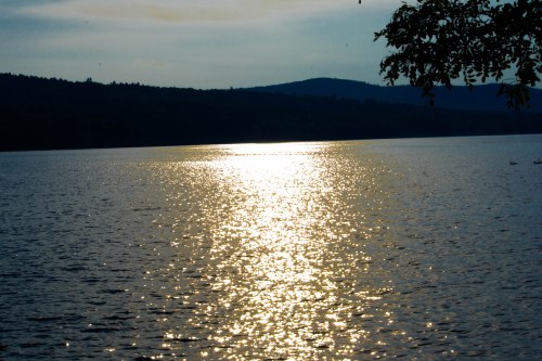 Evening Stroll-0003-1