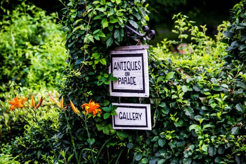 Evening Stroll-0007-1