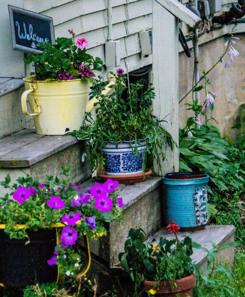 Evening Stroll-0037-1