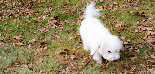 All States 2013-0023-1