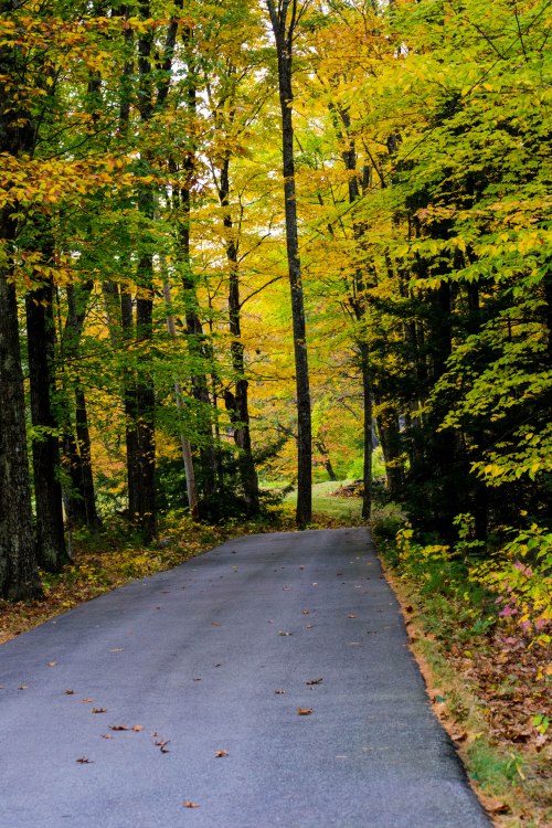 Sandwich Fair 2013-0021-1