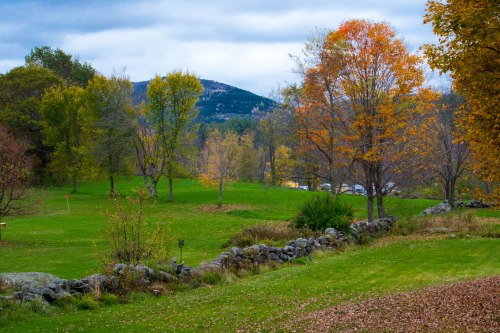 Sandwich Fair 2013-0240-1