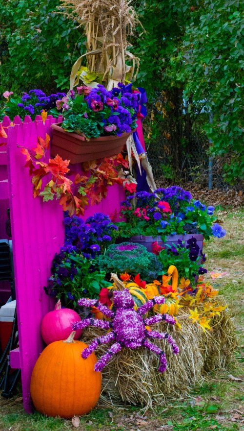 Sandwich Fair 2013-0342-1