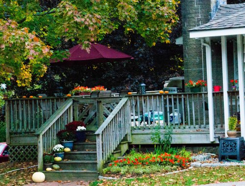 Sandwich Fair 2013-0373-1