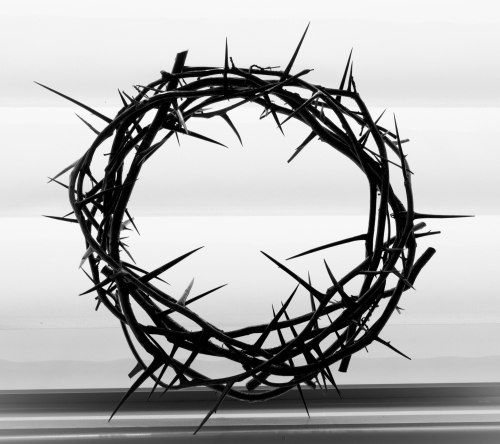 Crown Of Thorns-0004