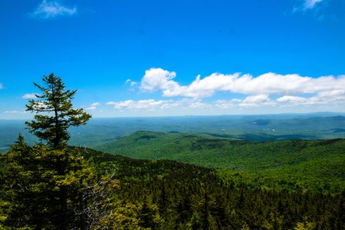 Father's Day 2014-0036